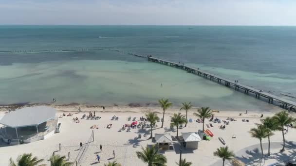 Uitzicht Vanuit Lucht Het Strand Oceaan — Stockvideo