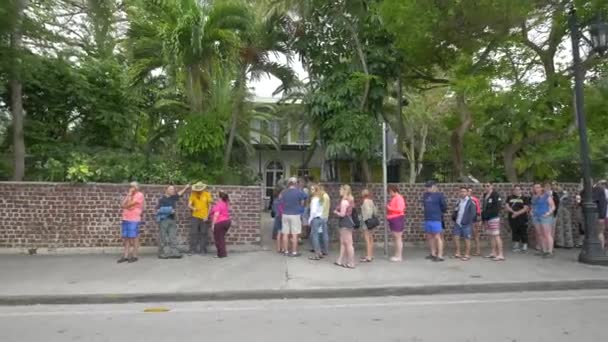 Touristes Qui Attendent Devant Mur — Video