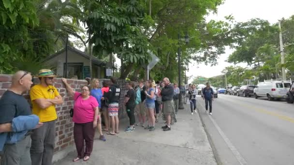 Touristes Dehors Mur Pierre — Video