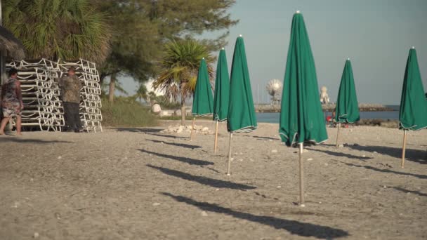 Guarda Chuvas Fechados Uma Praia — Vídeo de Stock