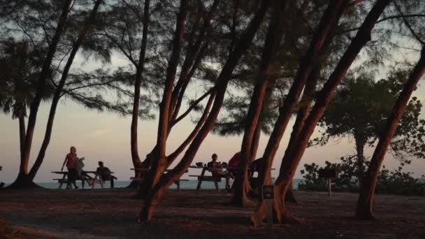 Arbres Bancs Dans Parc — Video