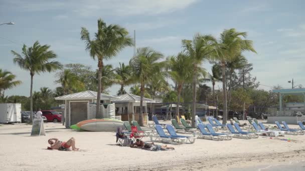 Tourists Relaxing Beach — Stock Video