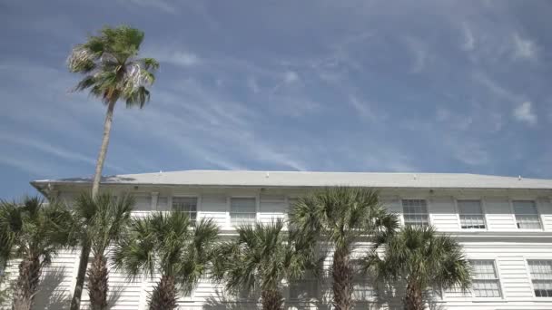 房子四周都是棕榈树 — 图库视频影像