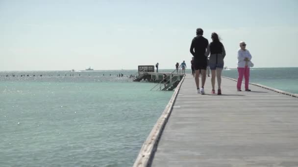 Turisták Sétálnak Mólón Óceán Vize Felett — Stock videók