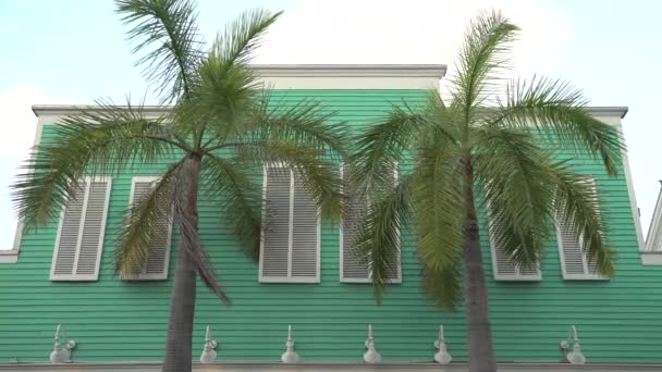 Palm Trees Front Green House — Stock videók