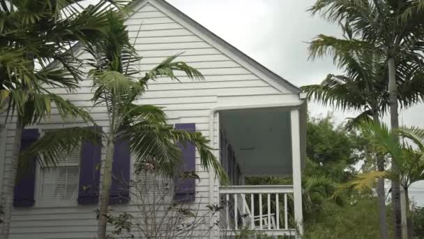 Palmeras Una Casa Madera — Vídeos de Stock