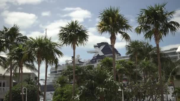 Anchored Ship Palm Trees — Stock Video