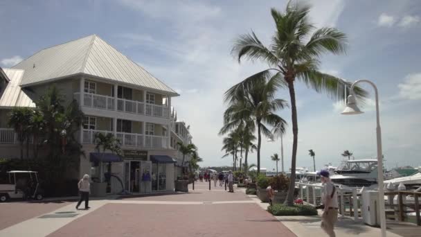 Key West Rıhtım — Stok video