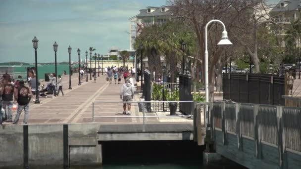Turistas Caminando Por Paseo Marítimo — Vídeos de Stock
