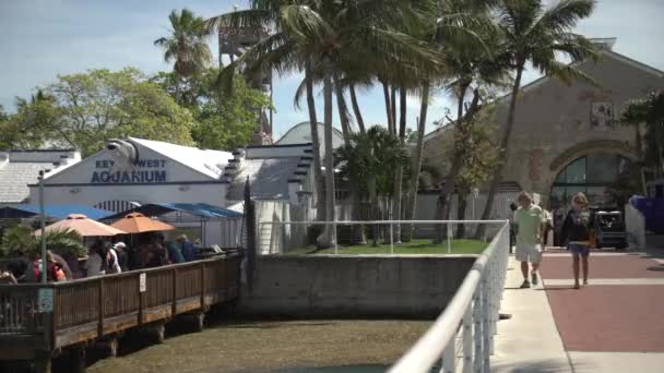 Άτομα Που Επισκέπτονται Key West — Αρχείο Βίντεο