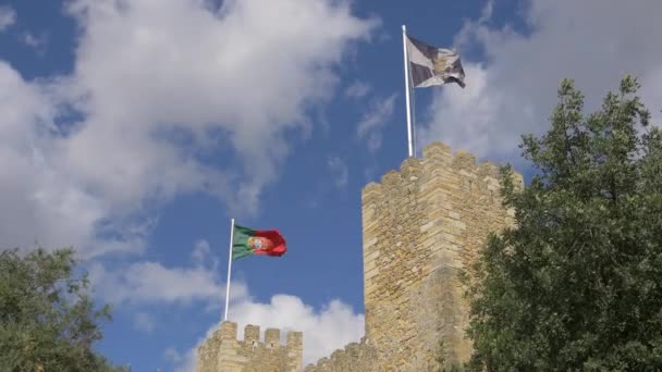 Ondeando Banderas Las Torres Del Castillo — Vídeos de Stock