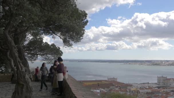 Touristen Bewundern Die Aussicht — Stockvideo