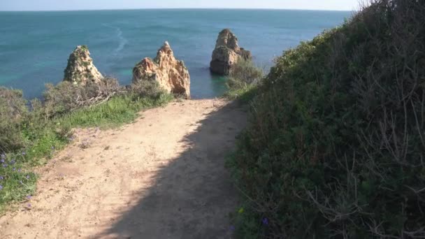 Rocas Acantilados Agua Del Océano — Vídeo de stock