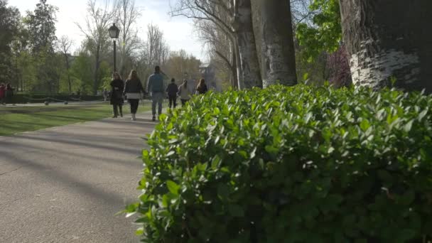 公園を歩く人々 — ストック動画