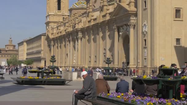 Vue Panoramique Sur Basilique Place Pilar — Video