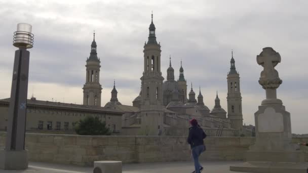 Basilikan Sedd Från Stenbron — Stockvideo