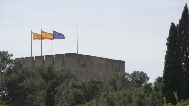 在Aljaferia宫顶上飘扬的旗帜 — 图库视频影像