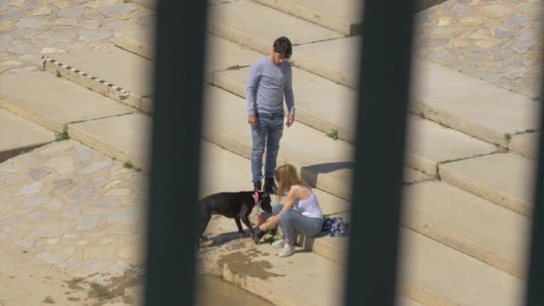 Casal Com Cão — Vídeo de Stock