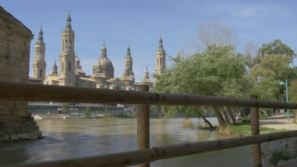 Basiliek Vanaf Een Houten Brug — Stockvideo