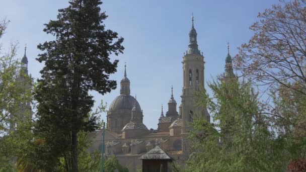 Basílica Vista Detrás Los Árboles — Vídeo de stock