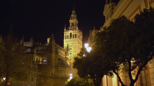 Katedrális Giralda Éjjel — Stock videók