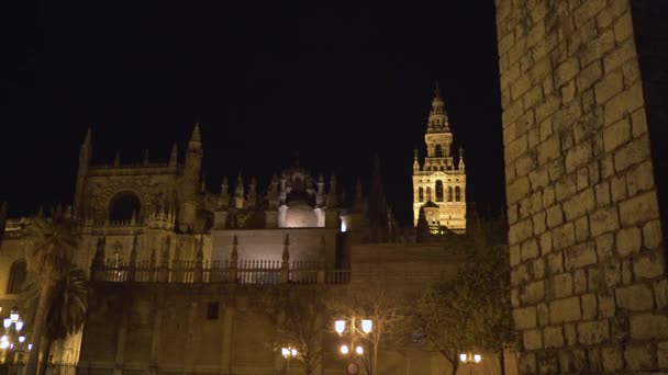 Cattedrale Siviglia Giralda Notte — Video Stock