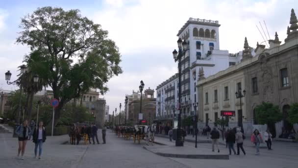 Plaza Con Carruajes Caballos — Vídeos de Stock