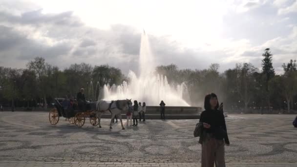 Fountain Maria Luisa Park — Stockvideo