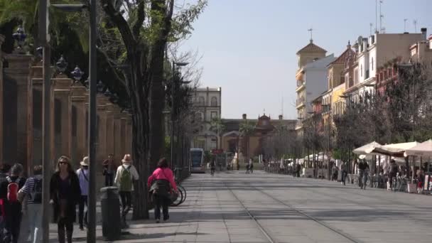 Περπατώντας Στο Calle San Fernando — Αρχείο Βίντεο