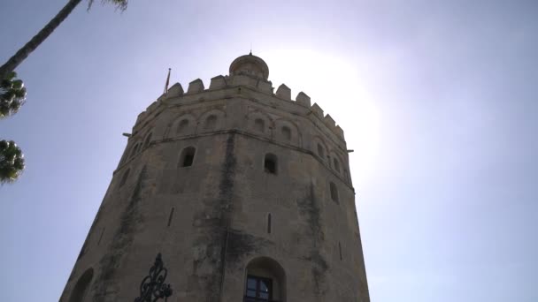 Ángulo Bajo Torre Del Oro — Vídeos de Stock