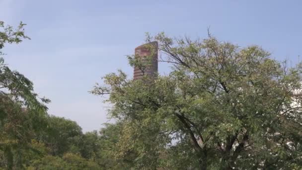 Sevilla Kulesi Ağaçların Arkasında — Stok video