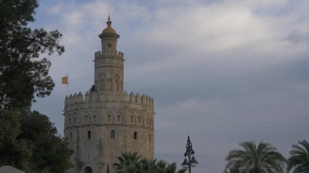 Torre Oro Sevilla España — Vídeos de Stock