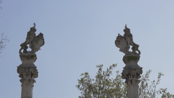 Sculture Cima Alle Colonne — Video Stock