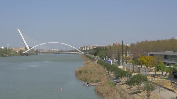 Γέφυρα Puente Barqueta Και Alamillo — Αρχείο Βίντεο