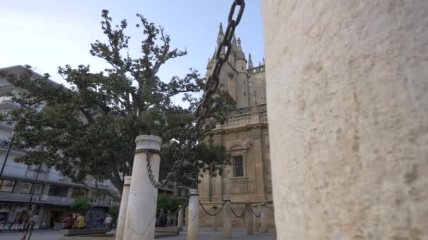 Katedralin Yanındaki Ağaç — Stok video