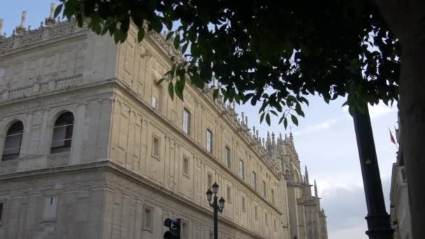 Seville Gothic Cathedral — Stock Video