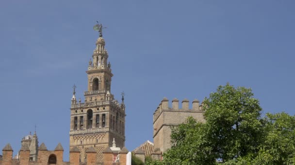 Vrchol Věže Giralda Sevilla — Stock video