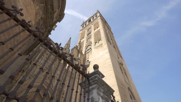 Giraldastornet Sevilla — Stockvideo