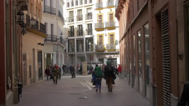 Dükkanları Olan Bir Sokakta Yürüyen Insanlar — Stok video