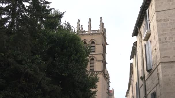 ゴシック様式の鐘楼の眺め — ストック動画