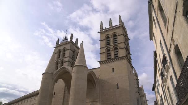 Cattedrale San Pietro Stile Architettonico Gotico — Video Stock