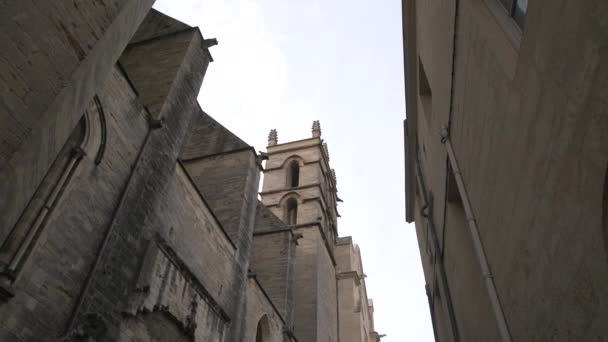 Bajo Ángulo Catedral San Pedro — Vídeo de stock