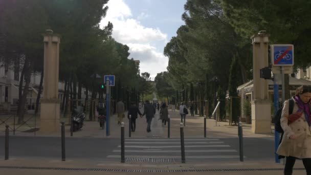 Caminando Una Plaza Con Árboles — Vídeos de Stock