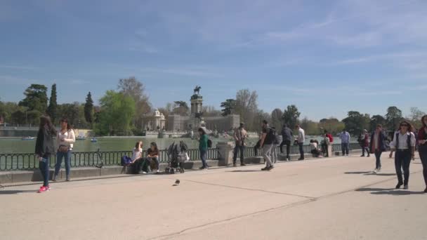 Estanque Grande Del Retiro Dans Parc — Video