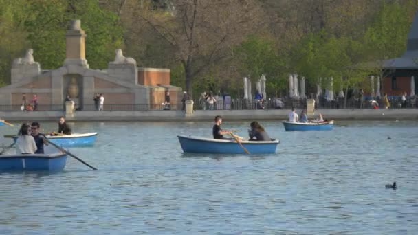 Люди Лодках Гребут Озере — стоковое видео