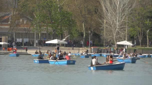 Turistas Remando Lago — Vídeo de Stock