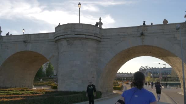 Puente Toledo — Vídeos de Stock