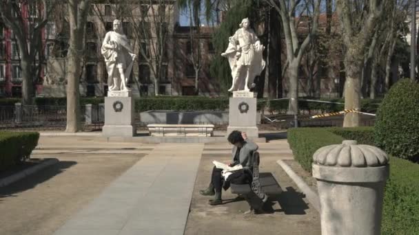 Ein Buch Der Nähe Von Statuen Lesen — Stockvideo