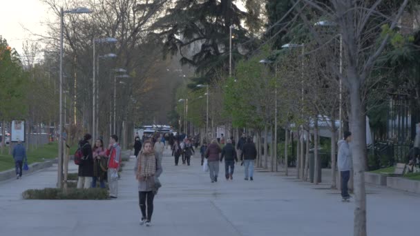 Toeristen Wandelen Een Park Steegje — Stockvideo