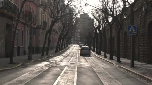 Una Strada Con Alberi Senza Foglie — Video Stock